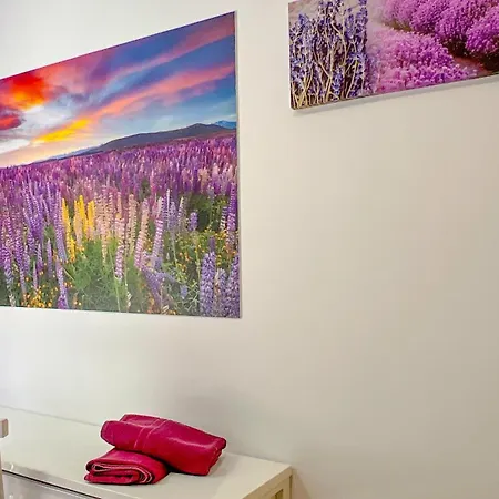Apartman Vivalidays Remei - Fenals - *